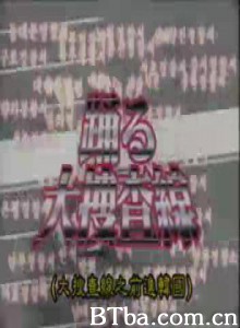 跳跃大搜查线2001年冬季SP大汉城线-720p|1080p高清bt种子下载