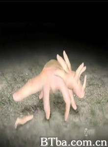 神奇的手指-720p|1080p高清bt种子下载