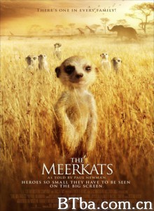 蒙哥/狐獴家庭/猫鼬-720p|1080p高清bt种子下载