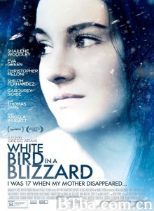 暴风雪中的白鸟/反思中的娇娇女/風雪少女離奇命案(港)-720p|1080p高清bt种子下载