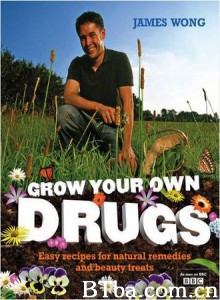 私房药第一季/私房药-720p|1080p高清bt种子下载