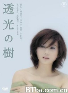 透光的树-720p|1080p高清bt种子下载