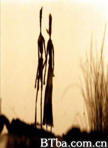 摒住呼吸-720p|1080p高清bt种子下载