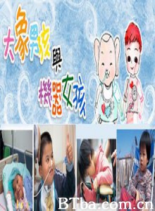 大象男孩与机器女孩 大象男孩与机器女孩-720p|1080p高清bt种子下载