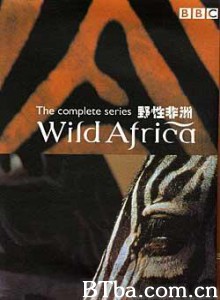 野性非洲-720p|1080p高清bt种子下载