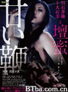 甜蜜皮鞭/甘い鞭-720p|1080p高清bt种子下载