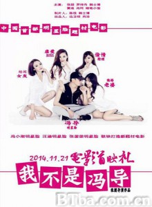 我不是冯导 我不是冯导-720p|1080p高清bt种子下载