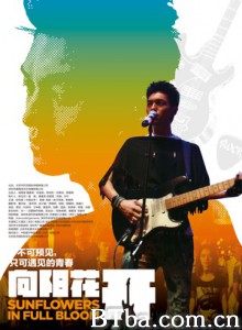 向阳花开/向阳花·开/Sunflowers in full bloom-720p|1080p高清bt种子下载