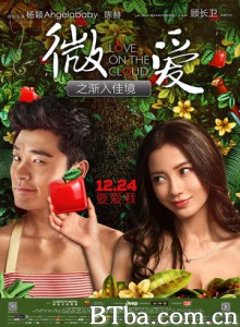 微爱之渐入佳境/微时代的爱情/微信时代的文艺爱情-720p|1080p高清bt种子下载