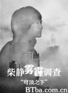 穹顶之下/穹顶之下：柴静雾霾调查/同呼吸，共命运-720p|1080p高清bt种子下载
