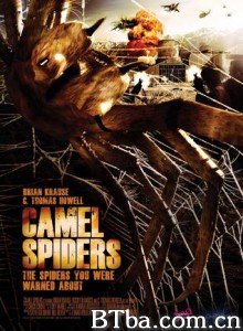 骆驼蜘蛛/食人巨蛛/Camel Spiders 骆驼蜘蛛/食人巨蛛/Camel Spiders-720p|1080p高清bt种子下载