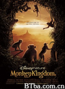 猴子王国/Monkey Kingdom 猴子王国/Monkey Kingdom-720p|1080p高清bt种子下载