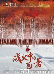 战火中的芭蕾/黑土地上的最后一战/天鹅/Ballet in the Flames of War-720p|1080p高清bt种子下载