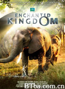 魔法王国/Enchanted Kingdom-720p|1080p高清bt种子下载