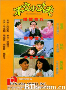 不文小丈夫/The Wild Goose Chase 不文小丈夫/The Wild Goose Chase-720p|1080p高清bt种子下载