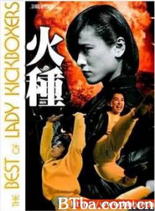 火种/angel termirators 2 火种/angel termirators 2-720p|1080p高清bt种子下载