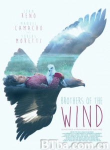 鹰之路/Brothers of the Wind-720p|1080p高清bt种子下载