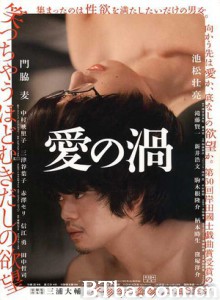 爱之漩涡/爱的漩涡/Love s Whirlpool-720p|1080p高清bt种子下载