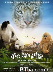我们诞生在中国-720p|1080p高清bt种子下载