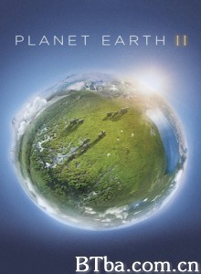 地球脉动 第二季/Planet Earth Season 2 地球脉动 第二季/Planet Earth Season 2-720p|1080p高清bt种子下载