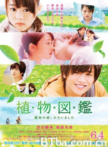 植物图鉴/Evergreen Love-720p|1080p高清bt种子下载