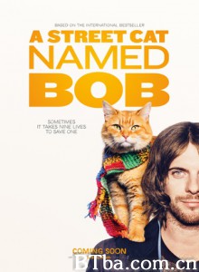 流浪猫鲍勃/街角遇见猫(港)/遇见街猫BOB(台)-720p|1080p高清bt种子下载