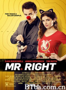 真命天子/真攞命天子(港)/合适的男伴侣/Mr Right-720p|1080p高清bt种子下载