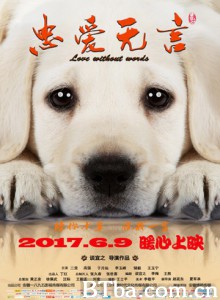 忠爱无言/老人与狗/老人和狗-720p|1080p高清bt种子下载