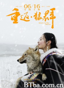 重返·狼群/Return To The Wolves-720p|1080p高清bt种子下载