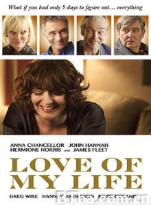 一生至爱/Love of My Life-720p|1080p高清bt种子下载