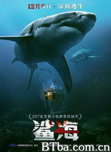 鲨海/深海逃生/深海鲨机(台)/47 Meters Down-720p|1080p高清bt种子下载