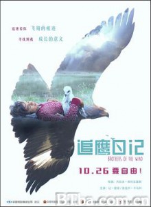 追鹰日记/Brothers of the Wind-720p|1080p高清bt种子下载