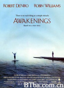无语问苍天/睡人/苏醒/Awakenings 无语问苍天/睡人/苏醒/Awakenings-720p|1080p高清bt种子下载