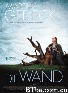 隐墙/Die Wand-720p|1080p高清bt种子下载