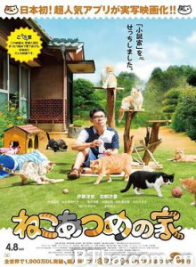 猫咪后院之家/猫咪收集之家(台)/猫咪来我家(港)/ねこあつめの家-720p|1080p高清bt种子下载