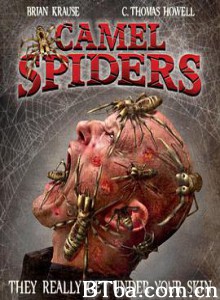 骆驼蜘蛛/食人巨蛛/Camel Spiders-720p|1080p高清bt种子下载