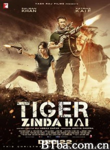 猛虎还活着/老虎是活的/Tiger Zinda Hai-720p|1080p高清bt种子下载