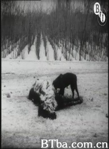 1921年俄罗斯饥荒纪实/Famine - The Russian Famine of 1921-720p|1080p高清bt种子下载
