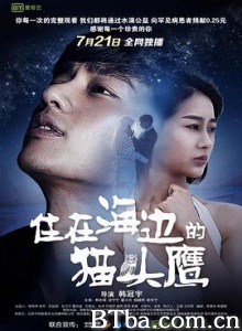 住在海边的猫头鹰-720p|1080p高清bt种子下载