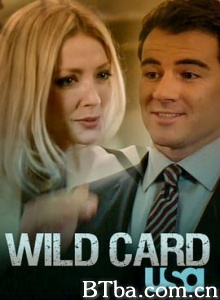 完美搭档/Wild Card-720p|1080p高清bt种子下载