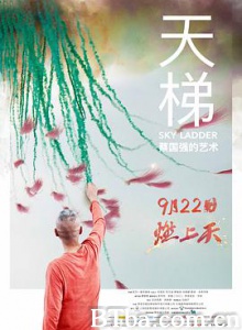 天梯：蔡国强的艺术/蔡国强：天梯/Sky Ladder: The Art of Cai Guo-Qiang-720p|1080p高清bt种子下载