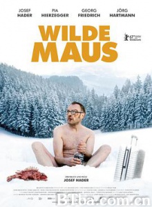 狂鼠/放生员工请注意(台)/野鼠/Wilde Maus-720p|1080p高清bt种子下载