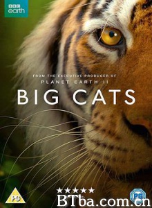 大猫/Big Cats-720p|1080p高清bt种子下载