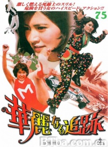 华丽的追踪/華麗なる追跡 Karei-naru tsuiseki-720p|1080p高清bt种子下载