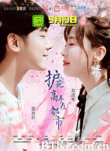 护花高手在都市/逆天八针-720p|1080p高清bt种子下载
