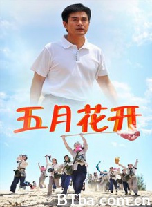 沙漠情深之五月花开 沙漠情深之五月花开-720p|1080p高清bt种子下载