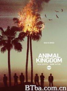 野兽家族 第一季/动物王国/Animal Kingdom Season 1 野兽家族 第一季/动物王国/Animal Kingdom Season 1-720p|1080p高清bt种子下载