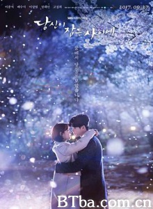 当你沉睡时/你睡着的时候/在你沉睡时/당신이 잠든 사이에-720p|1080p高清bt种子下载