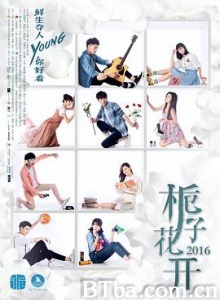 栀子花开2017/栀子花开网剧-720p|1080p高清bt种子下载