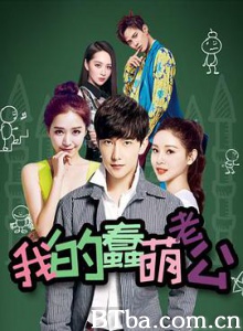 我的蠢萌老公/e时代天使/美丽e时代-720p|1080p高清bt种子下载